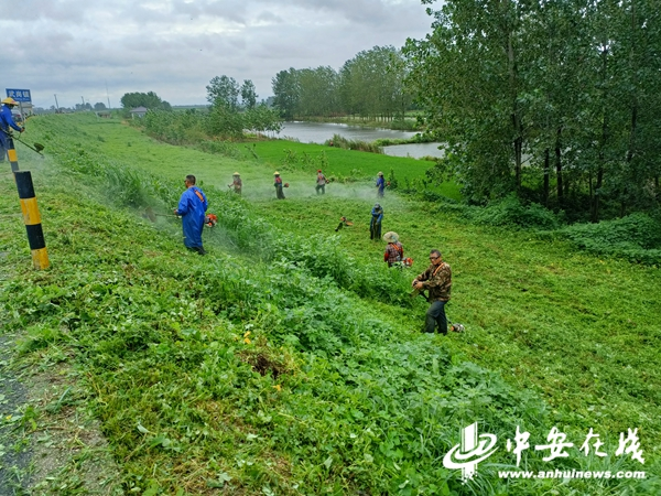 图片 4(1).png