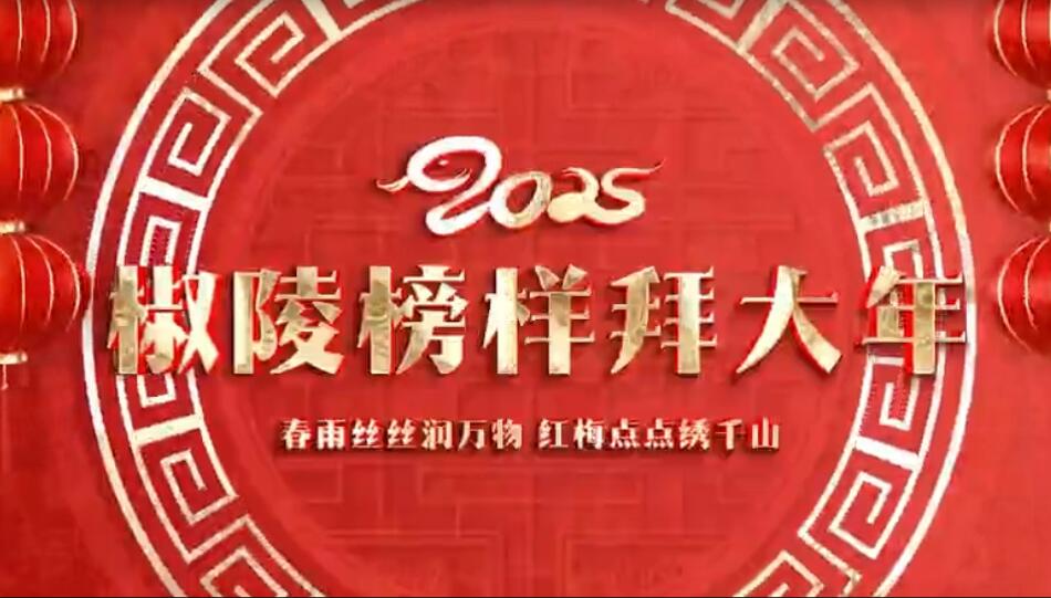 2025椒陵榜样拜大年（上）